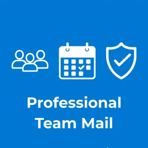 Professional Team Business Email Hosting (5–10 Users, Most Popular)